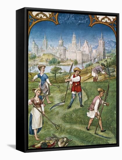 The Month of June, Haymaking, Miniature from the Grimani Breviary, Folio 6, Verso, Flanders-null-Framed Stretched Canvas