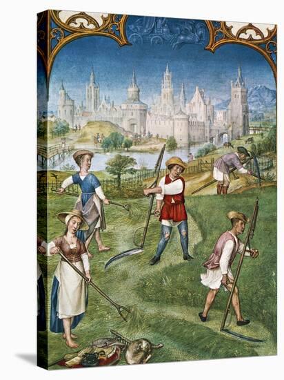 The Month of June, Haymaking, Miniature from the Grimani Breviary, Folio 6, Verso, Flanders-null-Stretched Canvas