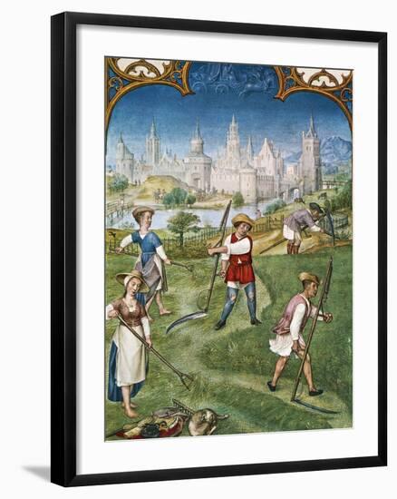 The Month of June, Haymaking, Miniature from the Grimani Breviary, Folio 6, Verso, Flanders-null-Framed Giclee Print
