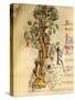 The Month of October: the Threshing of Acorns, Miniature from Martyrology by Adone-null-Stretched Canvas