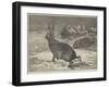 The Months, February-George Bouverie Goddard-Framed Giclee Print