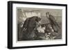 The Months, June-George Bouverie Goddard-Framed Giclee Print