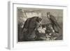 The Months, June-George Bouverie Goddard-Framed Giclee Print