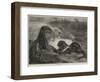 The Months, March-George Bouverie Goddard-Framed Giclee Print