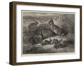 The Months, May-George Bouverie Goddard-Framed Giclee Print