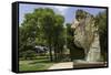 The Monumental Head by Igor Mitora in the Boboli Gardens, Florence, Tuscany, Italy-John Woodworth-Framed Stretched Canvas