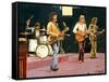 The Moodies in Concert 1973 (The Moody Blues), 1995 (Painting)-Kevin Parrish-Framed Stretched Canvas