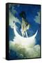 The Moon and the Stars-Edwin Howland Blashfield-Framed Stretched Canvas