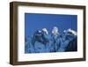 The Moon Appears Behind the Snowy Mountains Illuminating the Peaks-Roberto Moiola-Framed Photographic Print