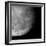 The Moon From Space, Artwork-Detlev Van Ravenswaay-Framed Photographic Print