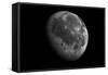 The Moon From Space-Detlev Van Ravenswaay-Framed Stretched Canvas