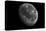 The Moon From Space-Detlev Van Ravenswaay-Stretched Canvas