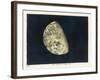 The Moon Gibbous, in a Decreasing State-Charles F. Bunt-Framed Art Print