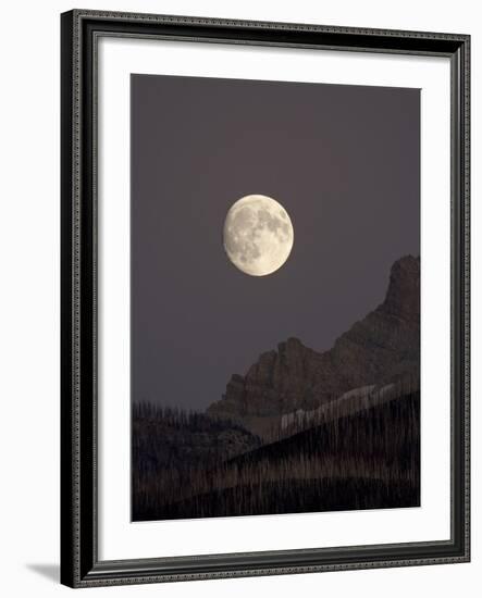 The Moon Rising, Glacier National Park, Montana, USA-James Hager-Framed Photographic Print