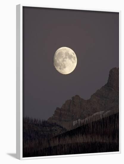 The Moon Rising, Glacier National Park, Montana, USA-James Hager-Framed Photographic Print