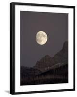 The Moon Rising, Glacier National Park, Montana, USA-James Hager-Framed Photographic Print