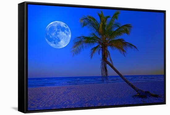 The Moon Shining in a Deserted Tropical Beach at Midnight with a Coconut Palm Tree in the Foregroun-Kamira-Framed Stretched Canvas