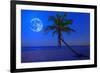 The Moon Shining in a Deserted Tropical Beach at Midnight with a Coconut Palm Tree in the Foregroun-Kamira-Framed Photographic Print