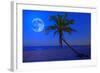 The Moon Shining in a Deserted Tropical Beach at Midnight with a Coconut Palm Tree in the Foregroun-Kamira-Framed Photographic Print