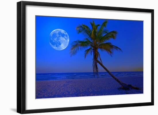 The Moon Shining in a Deserted Tropical Beach at Midnight with a Coconut Palm Tree in the Foregroun-Kamira-Framed Photographic Print