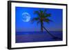 The Moon Shining in a Deserted Tropical Beach at Midnight with a Coconut Palm Tree in the Foregroun-Kamira-Framed Photographic Print