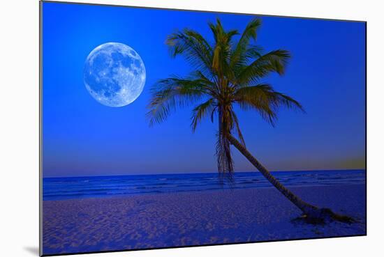 The Moon Shining in a Deserted Tropical Beach at Midnight with a Coconut Palm Tree in the Foregroun-Kamira-Mounted Photographic Print