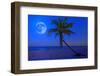 The Moon Shining in a Deserted Tropical Beach at Midnight with a Coconut Palm Tree in the Foregroun-Kamira-Framed Photographic Print