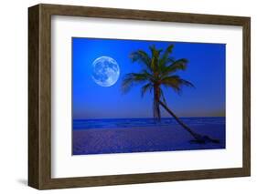 The Moon Shining in a Deserted Tropical Beach at Midnight with a Coconut Palm Tree in the Foregroun-Kamira-Framed Photographic Print