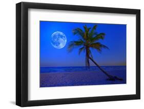 The Moon Shining in a Deserted Tropical Beach at Midnight with a Coconut Palm Tree in the Foregroun-Kamira-Framed Photographic Print