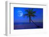 The Moon Shining in a Deserted Tropical Beach at Midnight with a Coconut Palm Tree in the Foregroun-Kamira-Framed Photographic Print