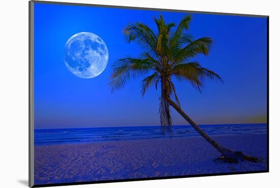 The Moon Shining in a Deserted Tropical Beach at Midnight with a Coconut Palm Tree in the Foregroun-Kamira-Mounted Photographic Print