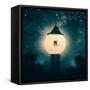 The Moon Tower-Paula Belle Flores-Framed Stretched Canvas