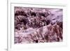 The Moon Valley, Atacama Desert, Chile-Françoise Gaujour-Framed Premium Photographic Print