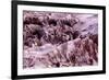 The Moon Valley, Atacama Desert, Chile-Françoise Gaujour-Framed Photographic Print