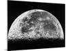 The Moon-Stocktrek Images-Mounted Photographic Print