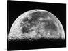 The Moon-Stocktrek Images-Stretched Canvas