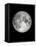 The Moon-Design Fabrikken-Framed Stretched Canvas