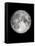 The Moon-Design Fabrikken-Framed Stretched Canvas