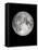 The Moon-Design Fabrikken-Framed Stretched Canvas