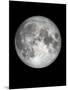 The Moon-Design Fabrikken-Mounted Photographic Print