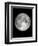 The Moon-Design Fabrikken-Framed Photographic Print