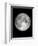 The Moon-Design Fabrikken-Framed Photographic Print