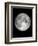 The Moon-Design Fabrikken-Framed Premium Photographic Print