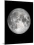 The Moon-Design Fabrikken-Mounted Premium Photographic Print