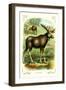 The Moose-null-Framed Art Print