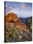 The Morning Sun in the Pedra Riga and Pico Gato, Vegetation, Arieiro, Madeira, Portugal-Rainer Mirau-Stretched Canvas