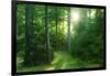 The Morning Sun Is Breaking Through Nearly Natural Beeches Mixed Forest, Spessart Nature Park-Andreas Vitting-Framed Photographic Print