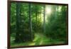 The Morning Sun Is Breaking Through Nearly Natural Beeches Mixed Forest, Spessart Nature Park-Andreas Vitting-Framed Premium Photographic Print