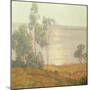 The Morning Sun, San Diego (Oil on Canvas)-Maurice Braun-Mounted Giclee Print