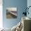The Morning-Umberto Boccioni-Giclee Print displayed on a wall